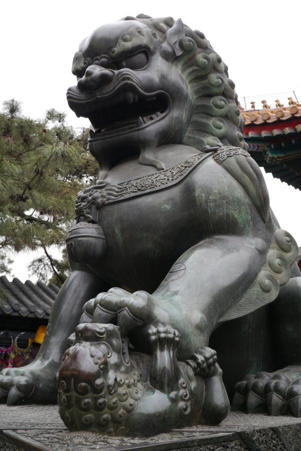 gal/China Year of Snake/Lion.jpg